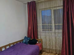 Berceni, Piata Sudului, Sos. Oltenitei, stradal, de la 1 iunie